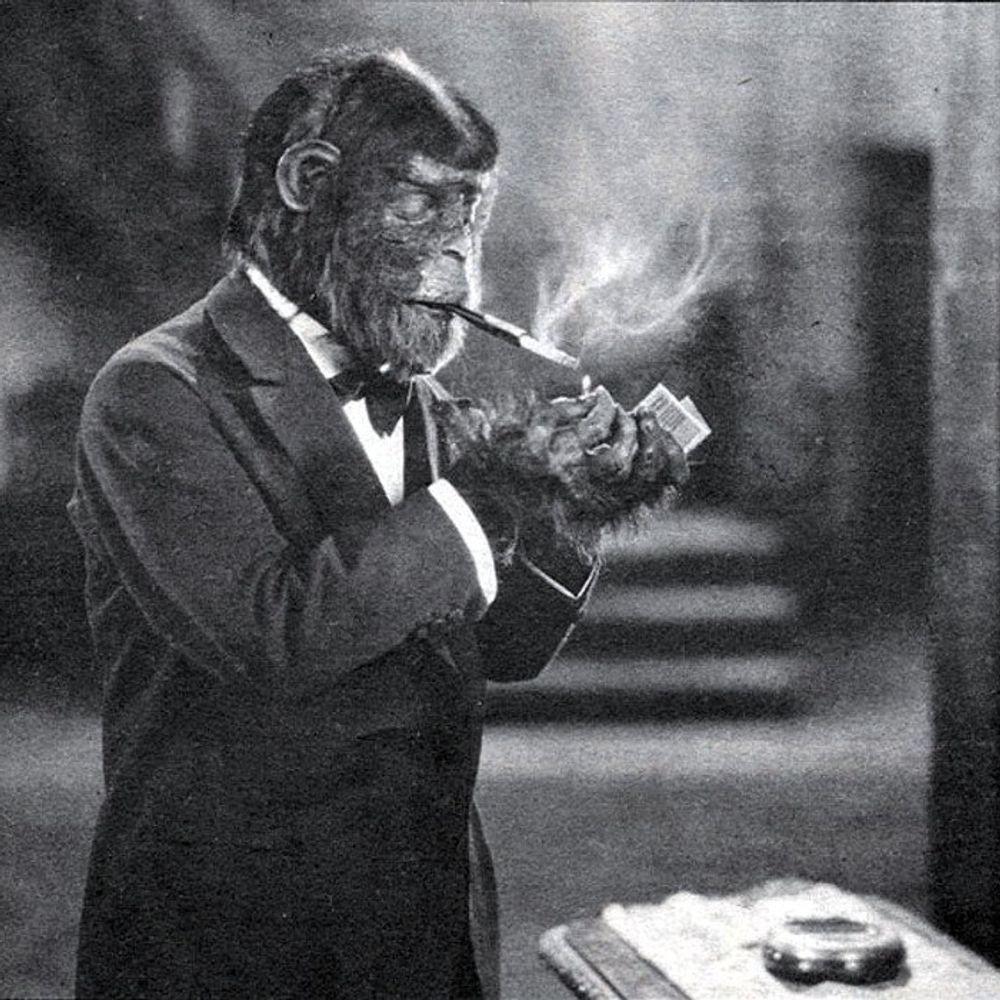 Nullius In Verba