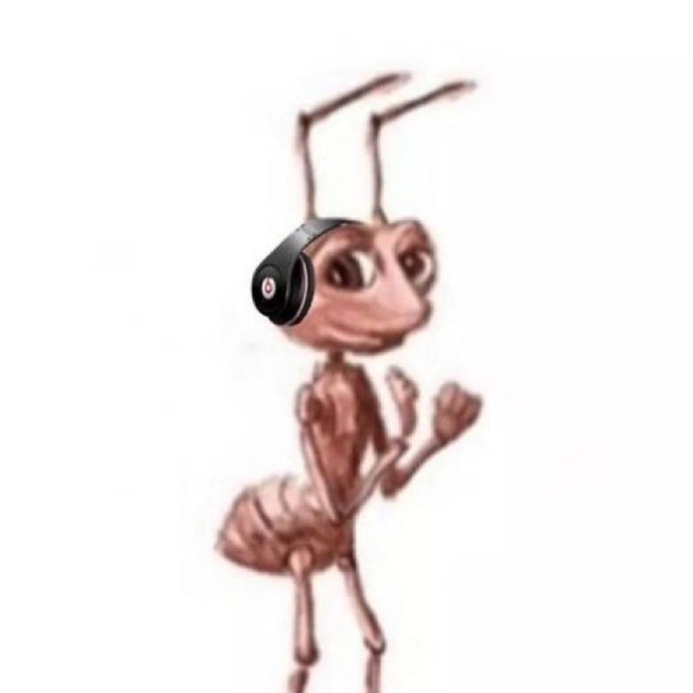 aloma