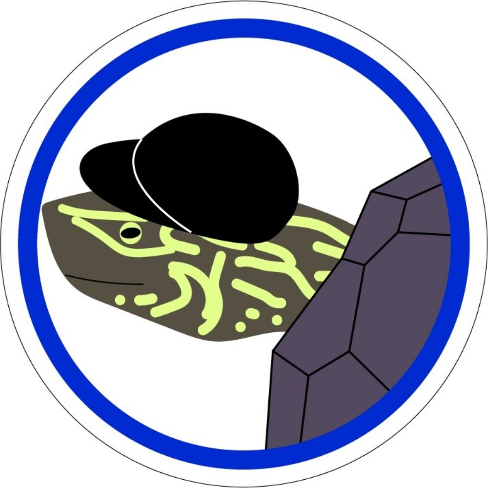 Echo.Garan