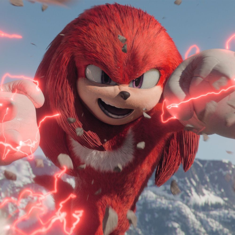 Ray the Echidna