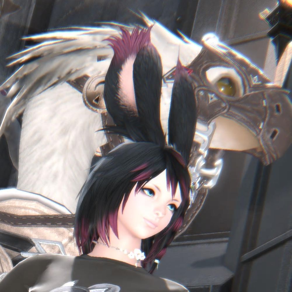 FF14 (NewGame)