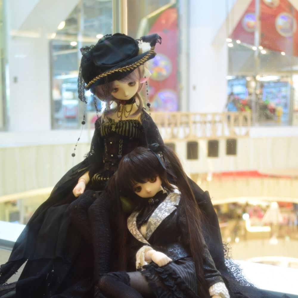 コニー松子@Orchideehof