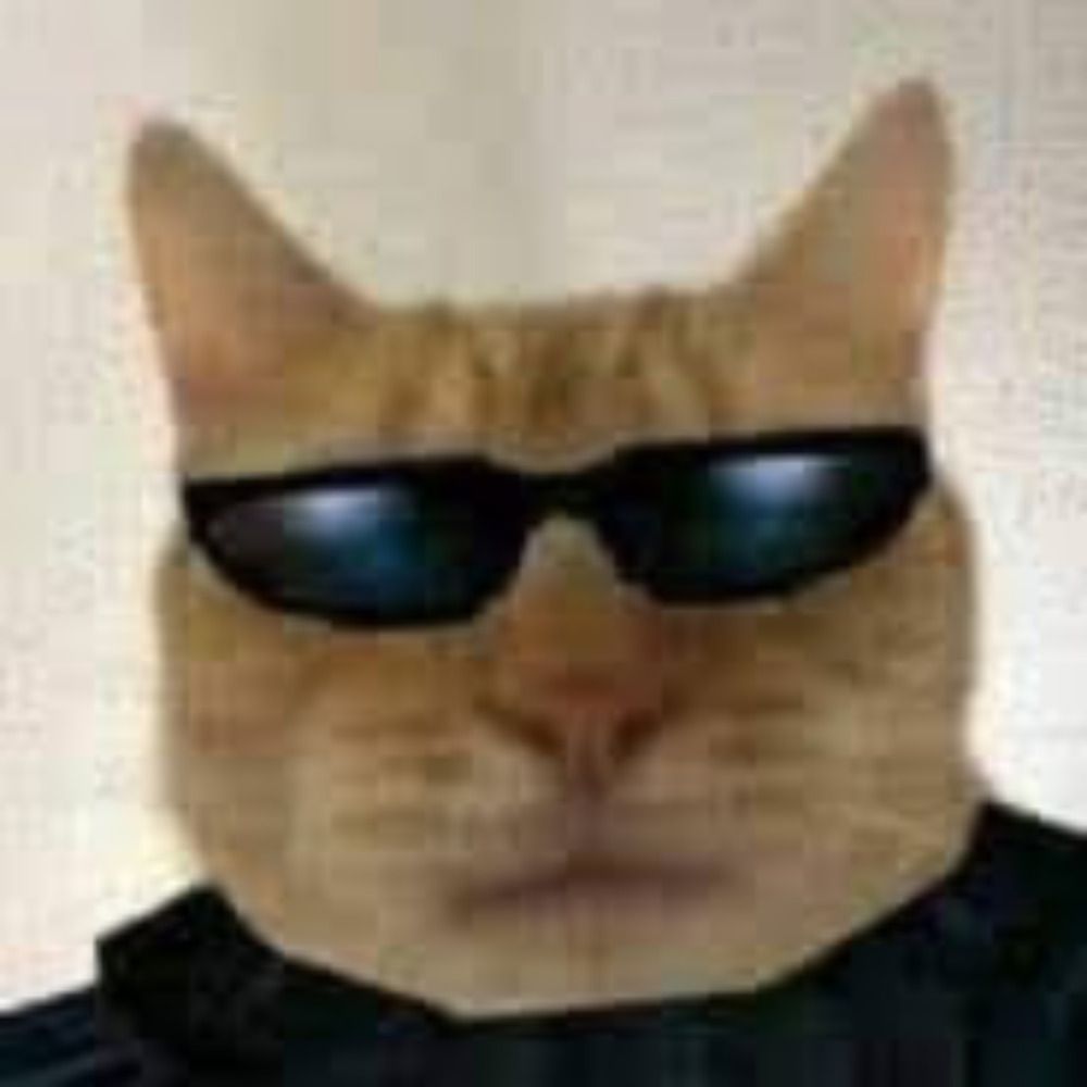 :o