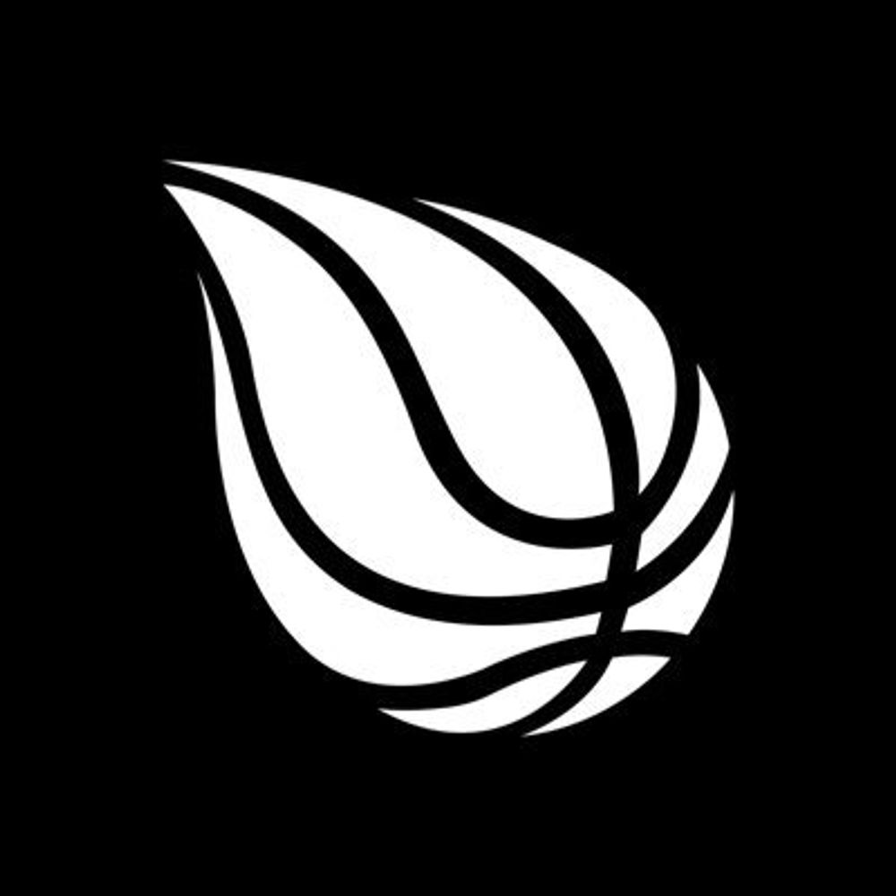 Sportando Basketball