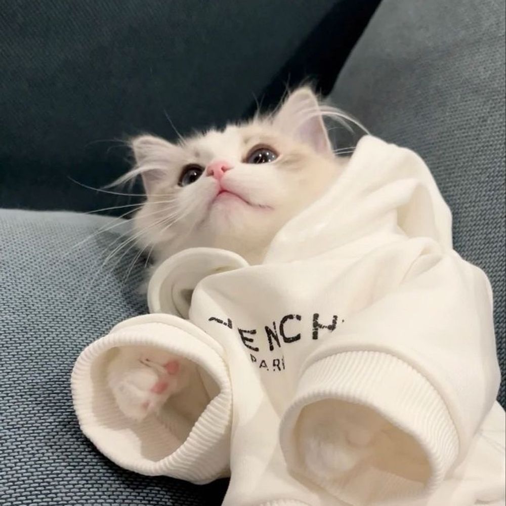 月