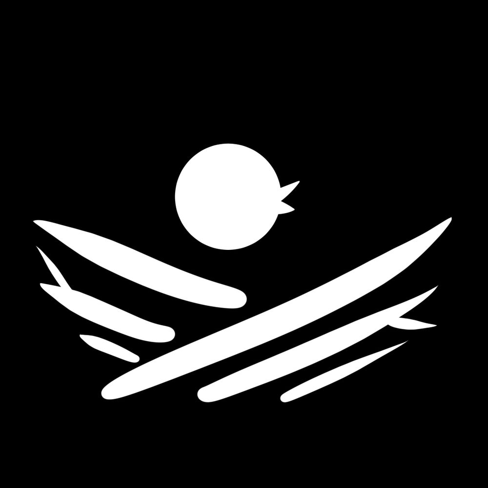 Bird's Nest Games