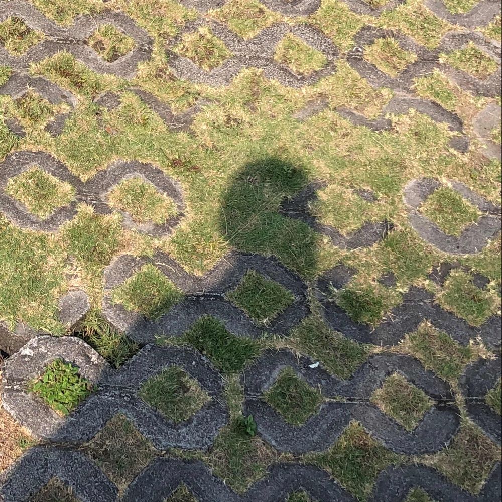 Na