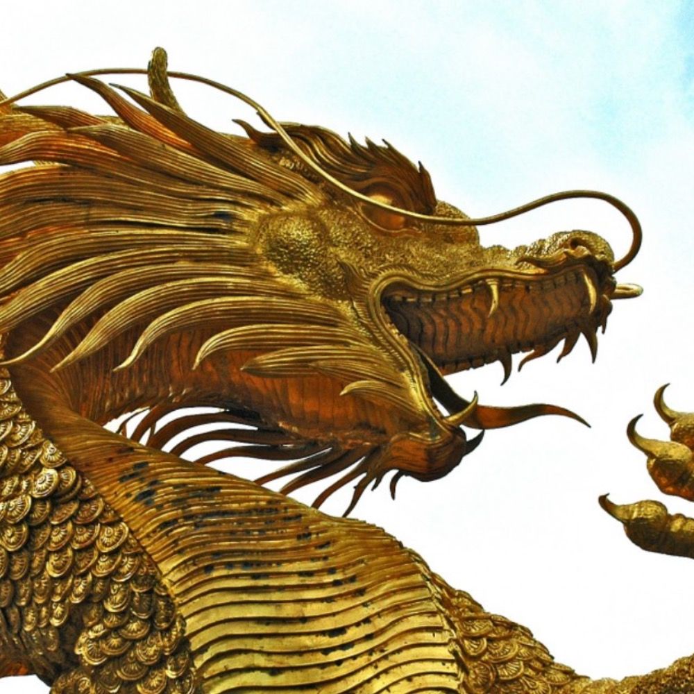 Dragoness