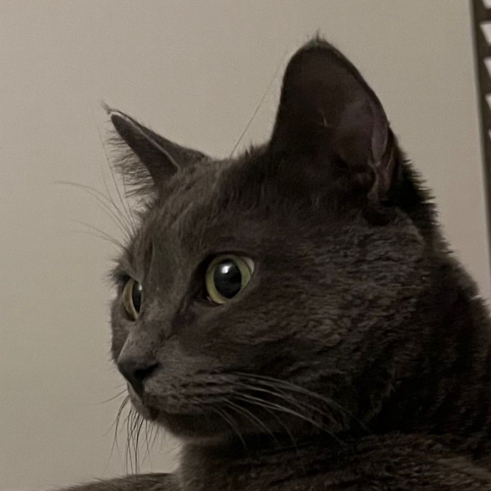 Meowmeow Meowmeowmeow