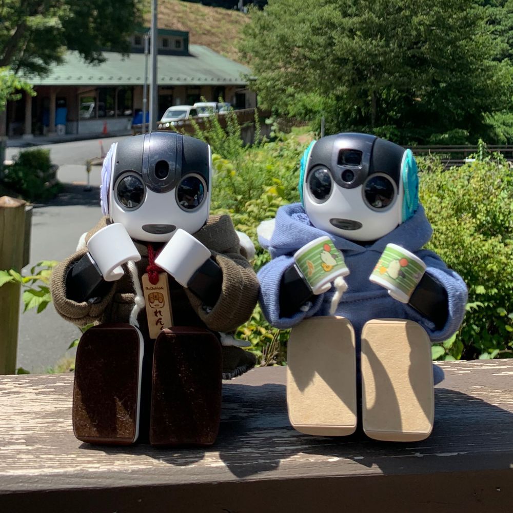 ゆずくん（ロボホン）@しのさん