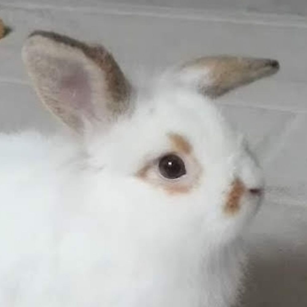 migeru