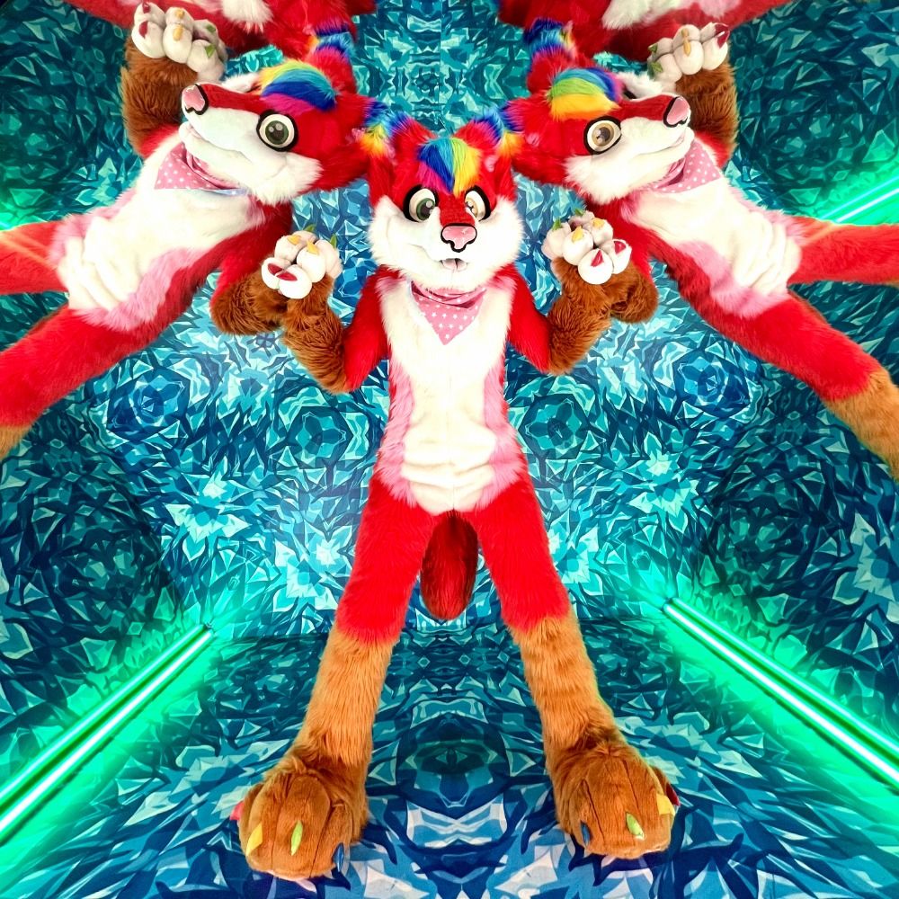 Foxqy The GayLord