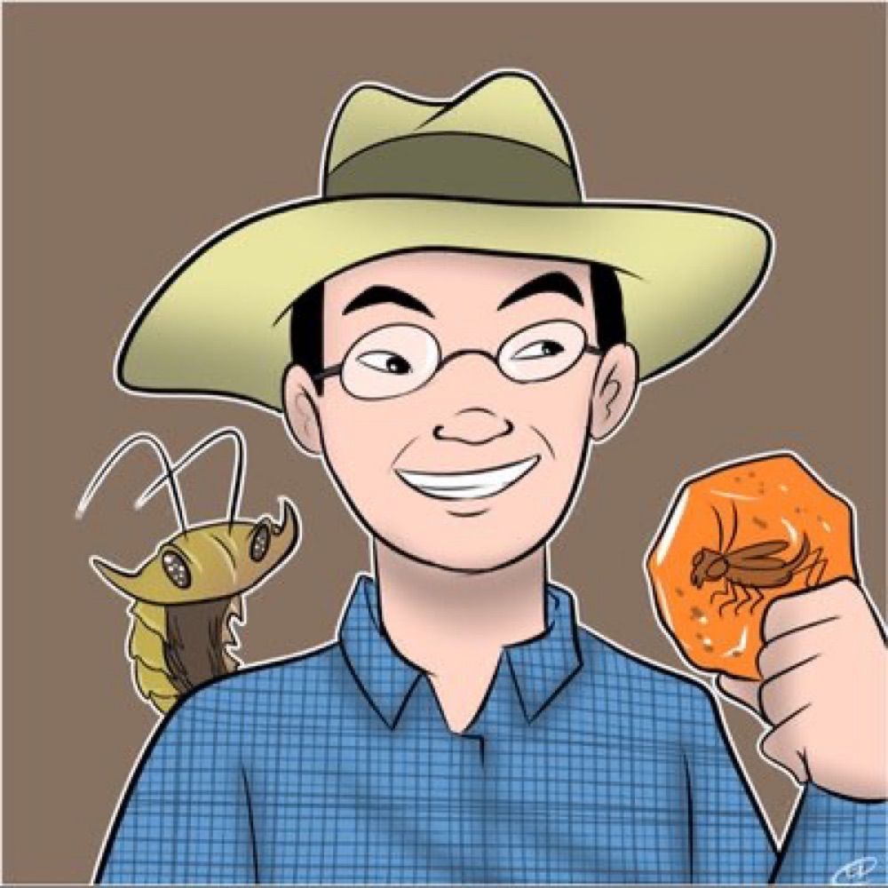 Fossillocator 