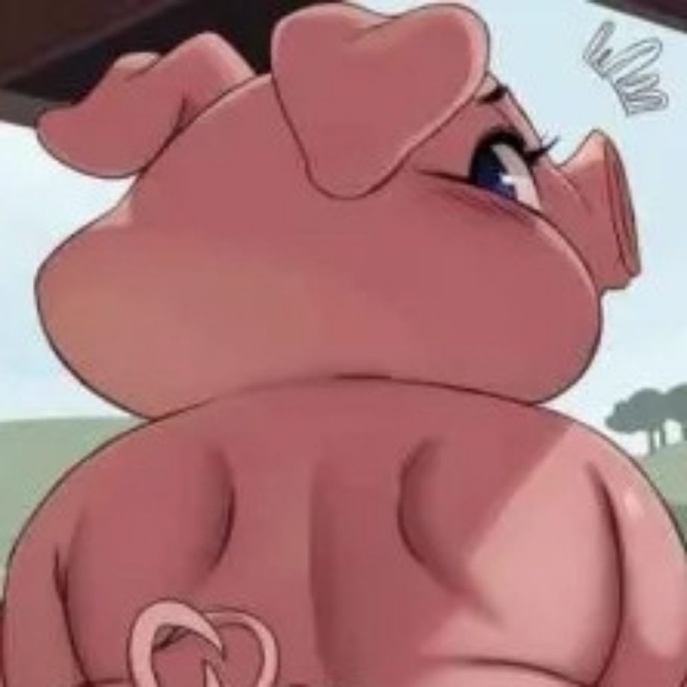 piggy🐷