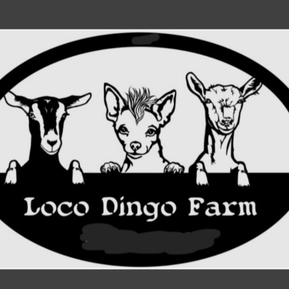 Loco Dingo Farm