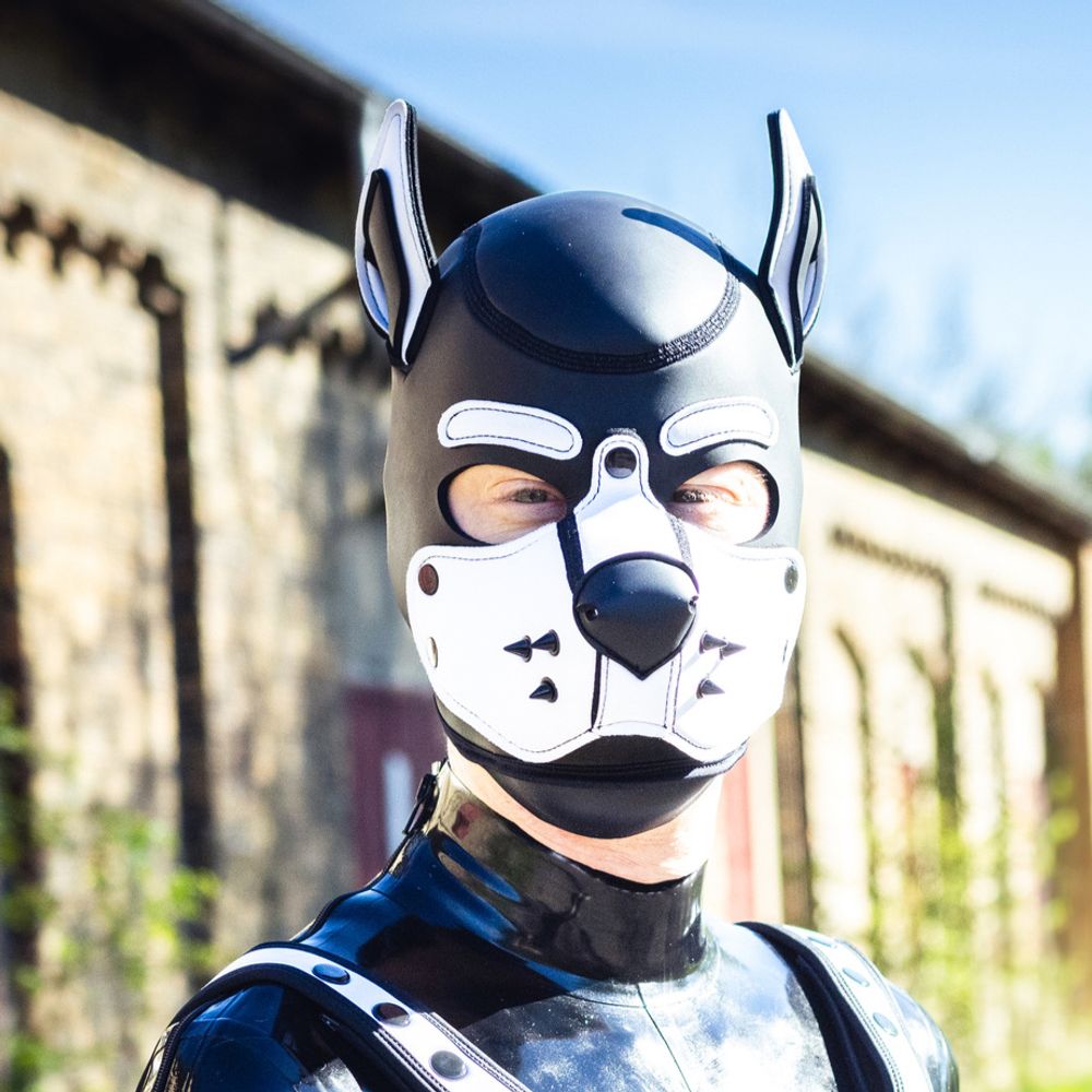 pup.aric
