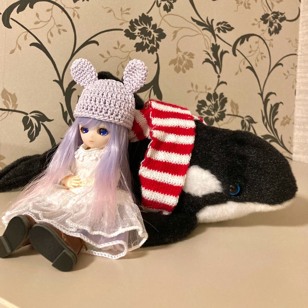 ヲルカ