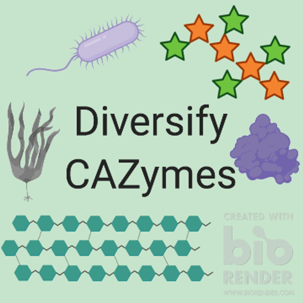 Diversify CAZymes (Carbohydrate Active enZymes)