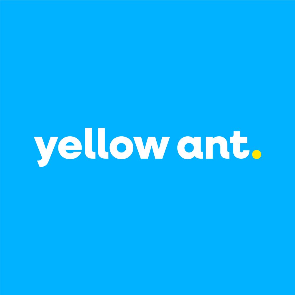 Yellow Ant
