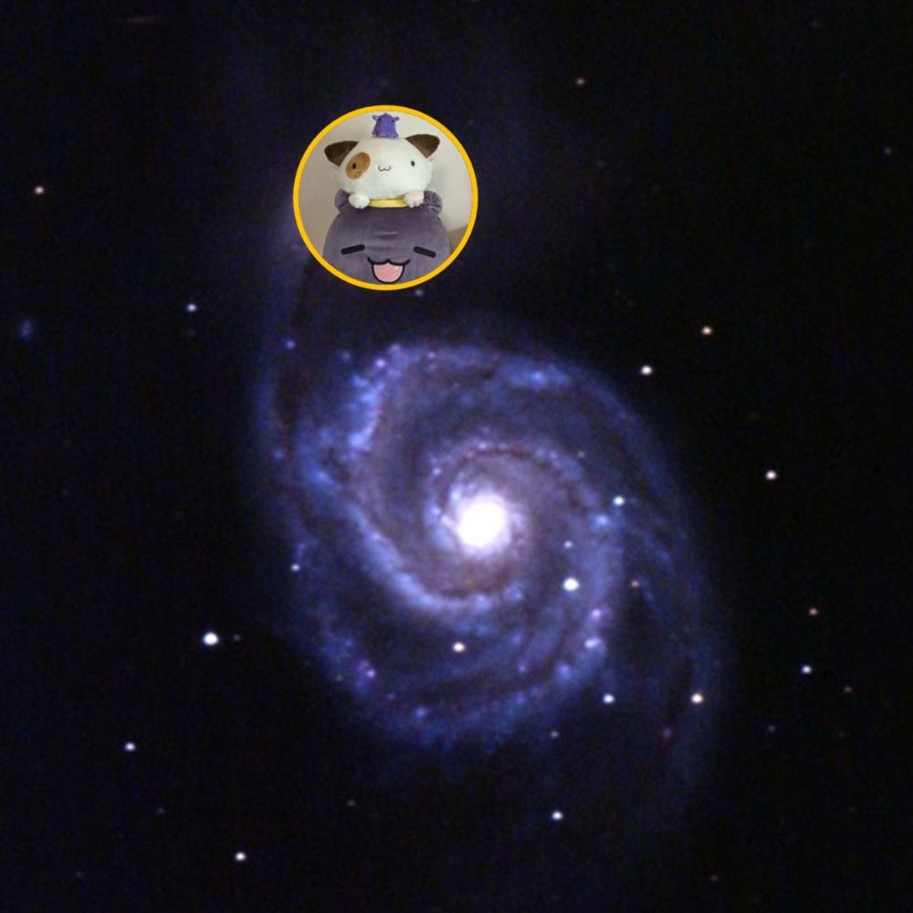 satoshi
