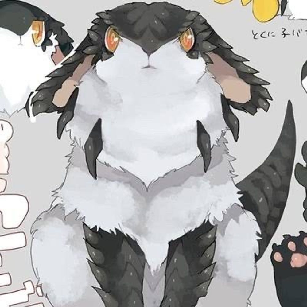 黒うさぎ