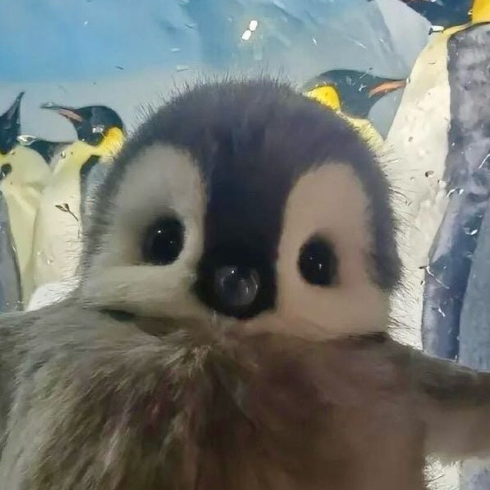 寝起き