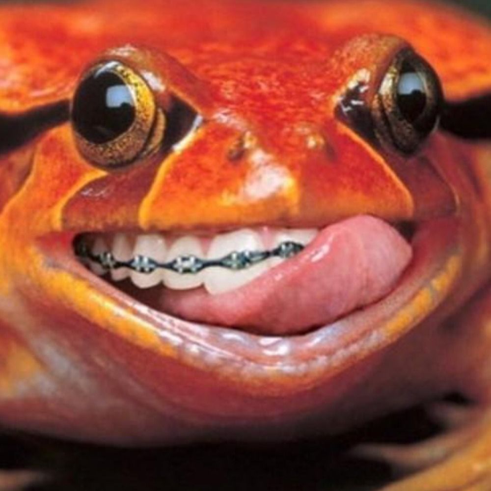 GigaTurtle