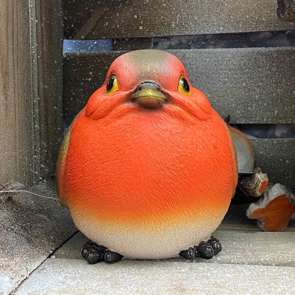 kcco Robin