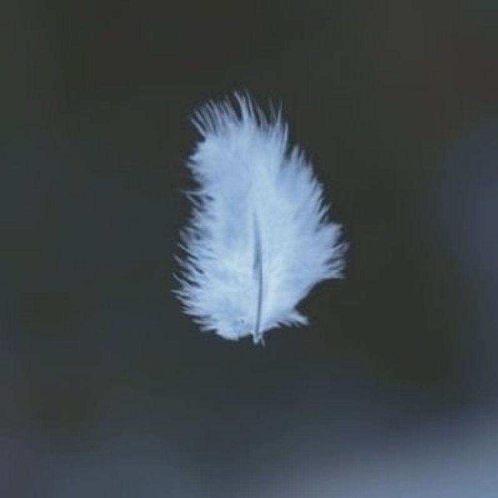 Ardor Quill