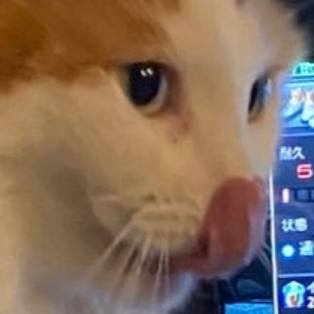 うめはち🍣