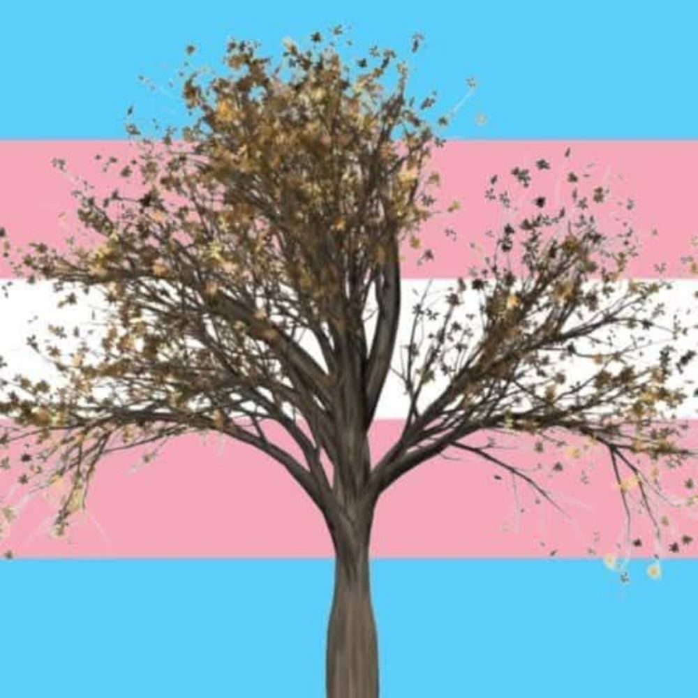 Elm Piper