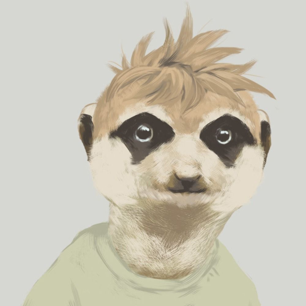 Meermeerkat