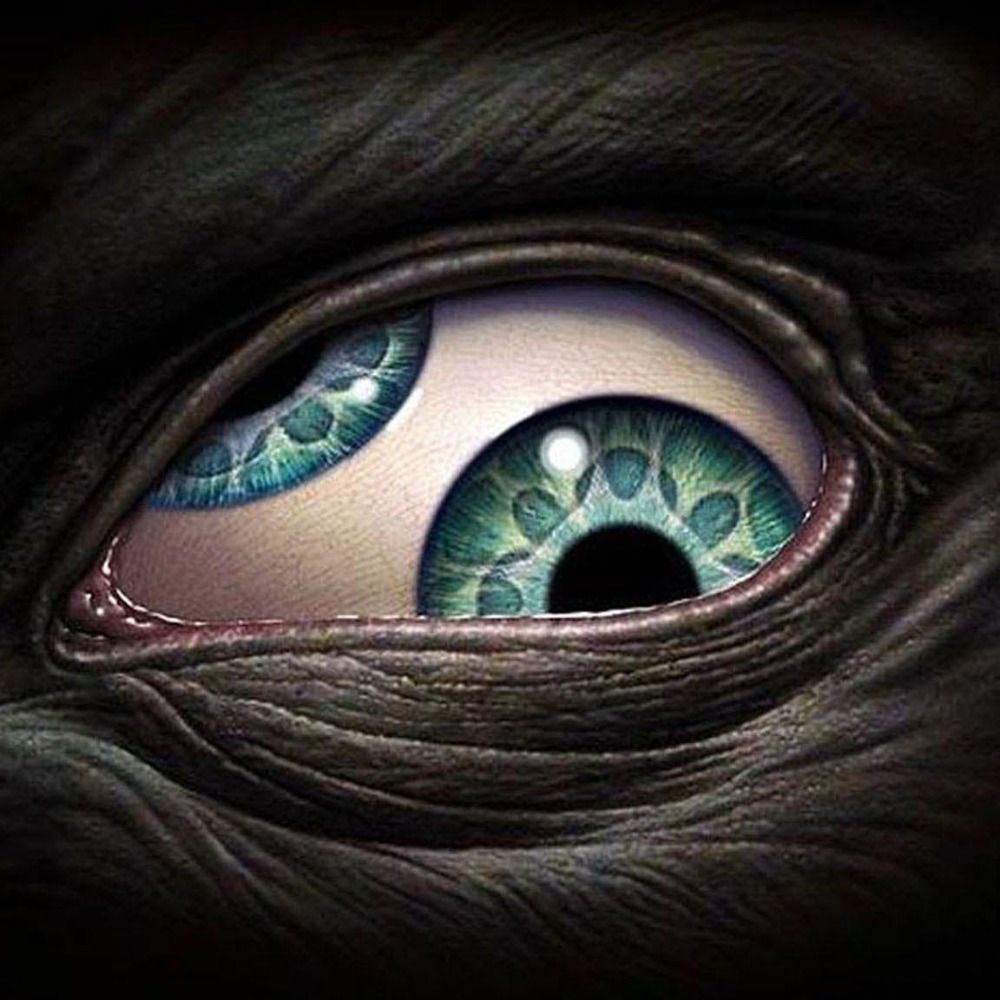 AEnima
