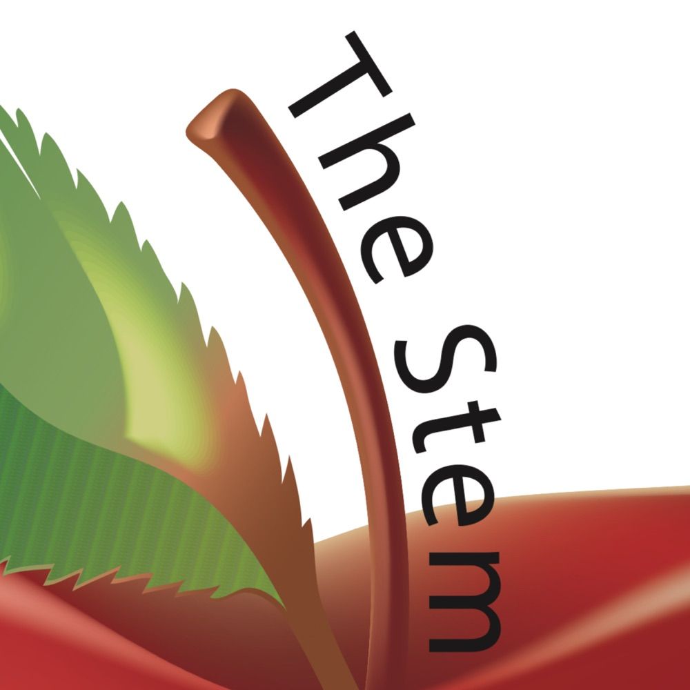 The Stem Group