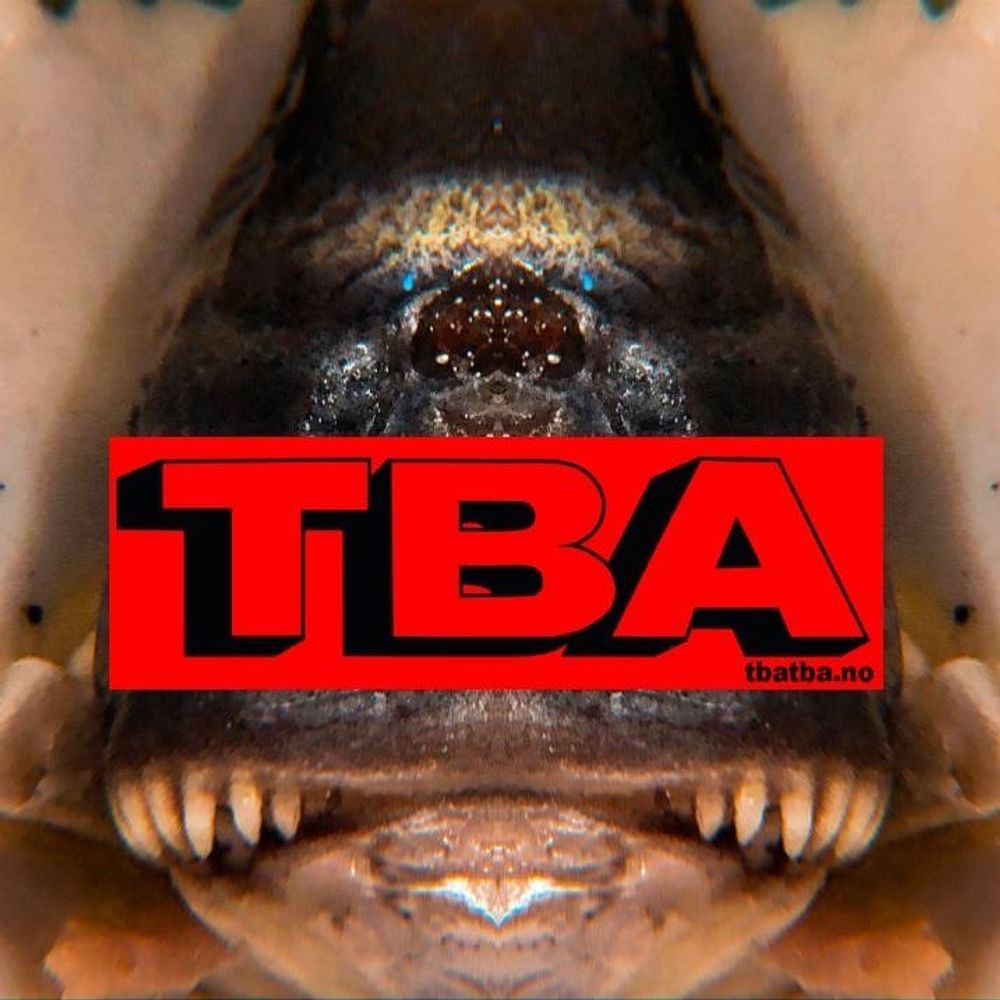 Kulturplattformen TBA 's avatar