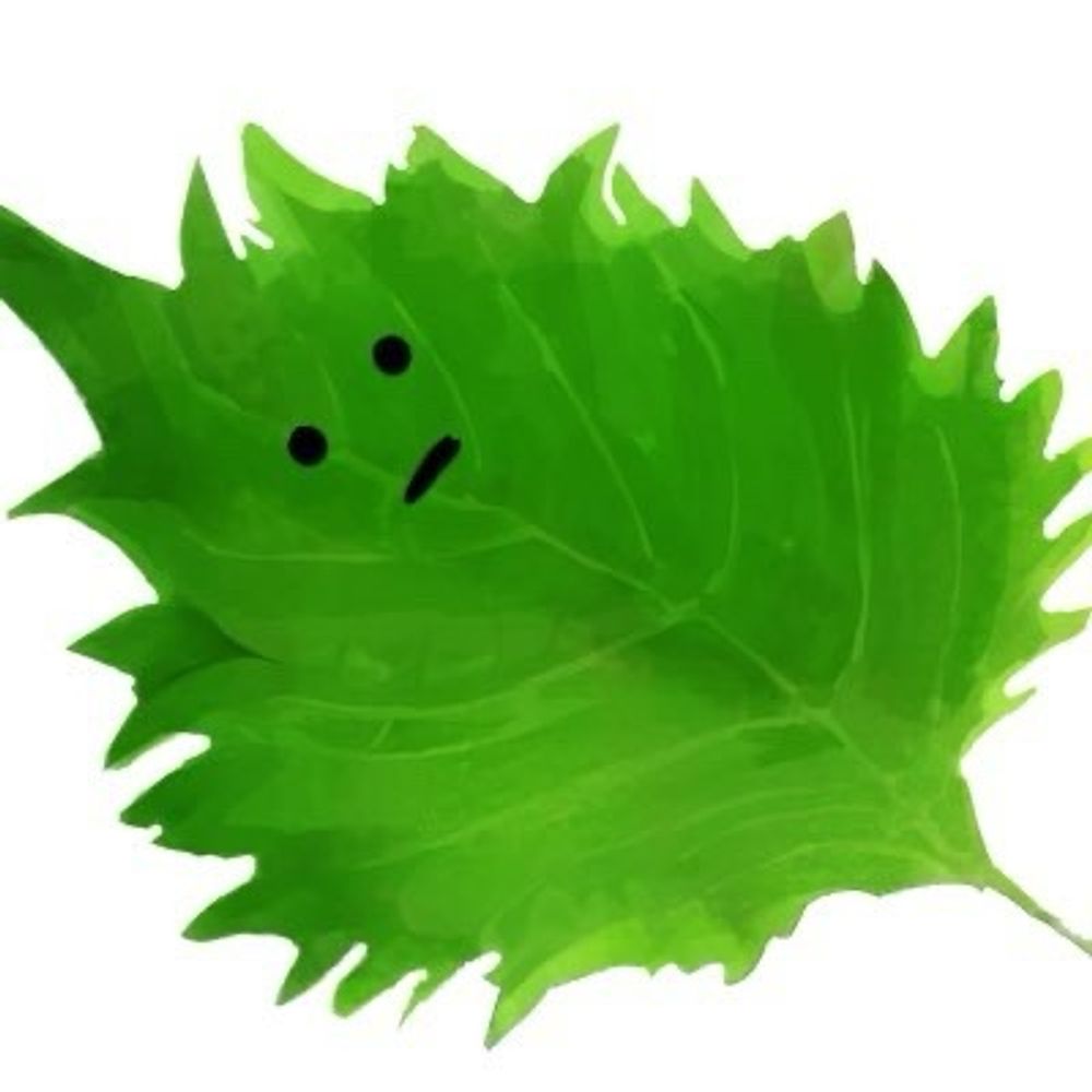 おしそ