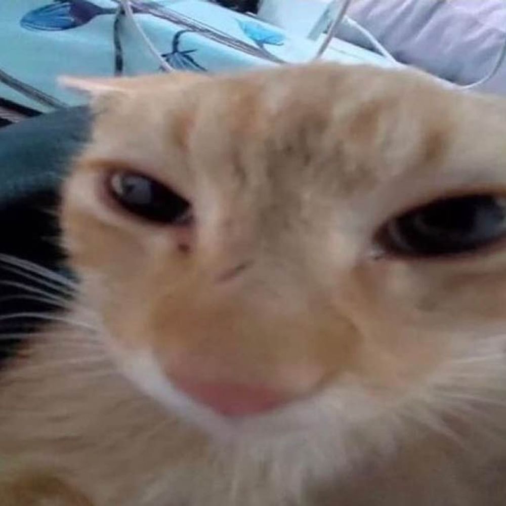 Leozyx