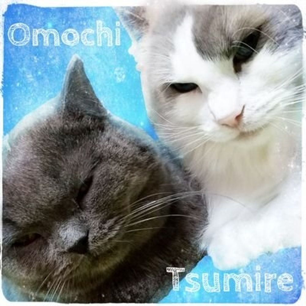 おもち&つみれ