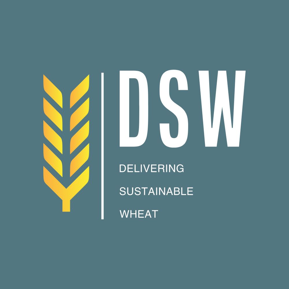 DSW ISP