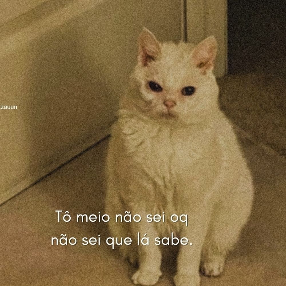 sdds tt