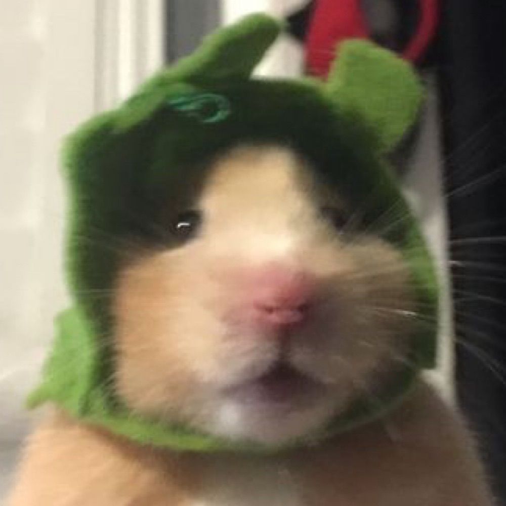 네
