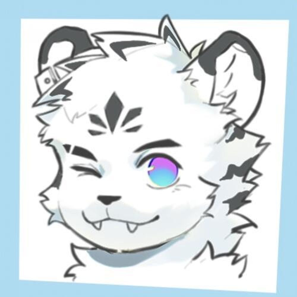 小猫蛋挞