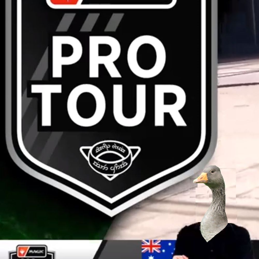 Wandering Goose