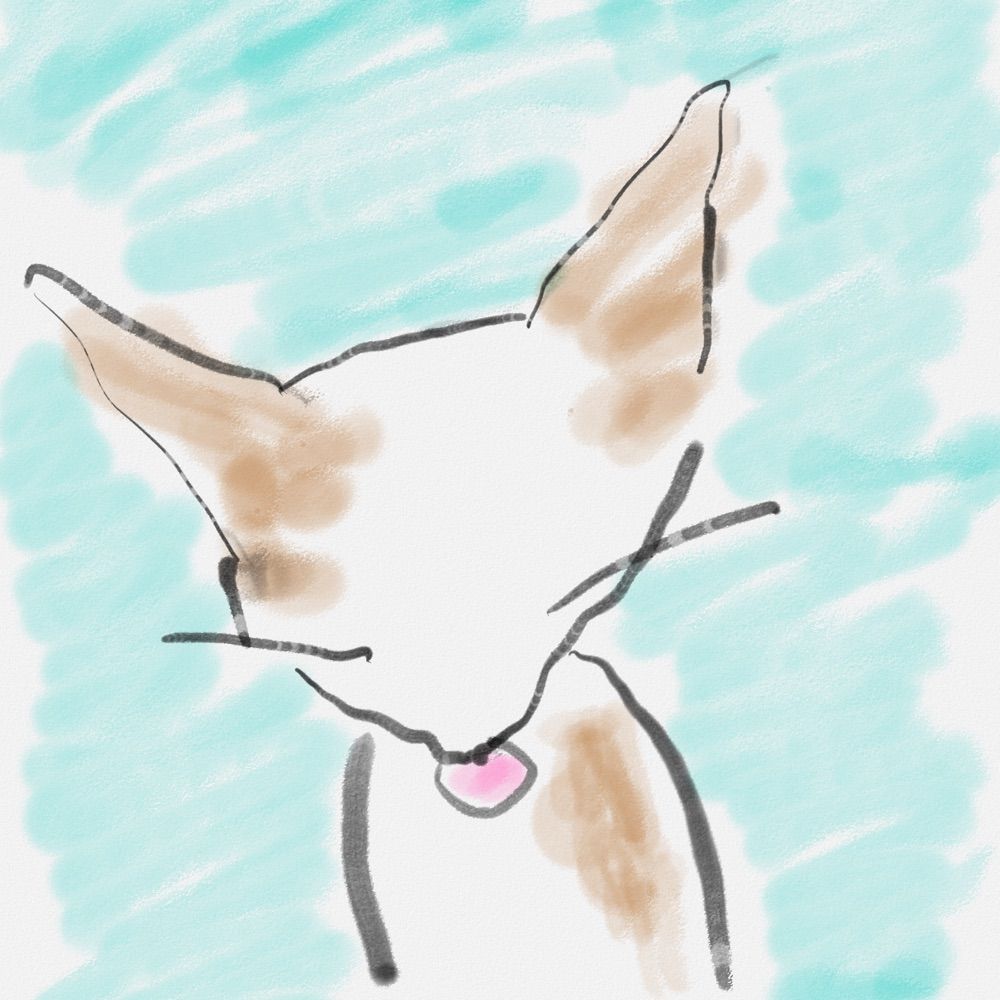 マツバウンラン
