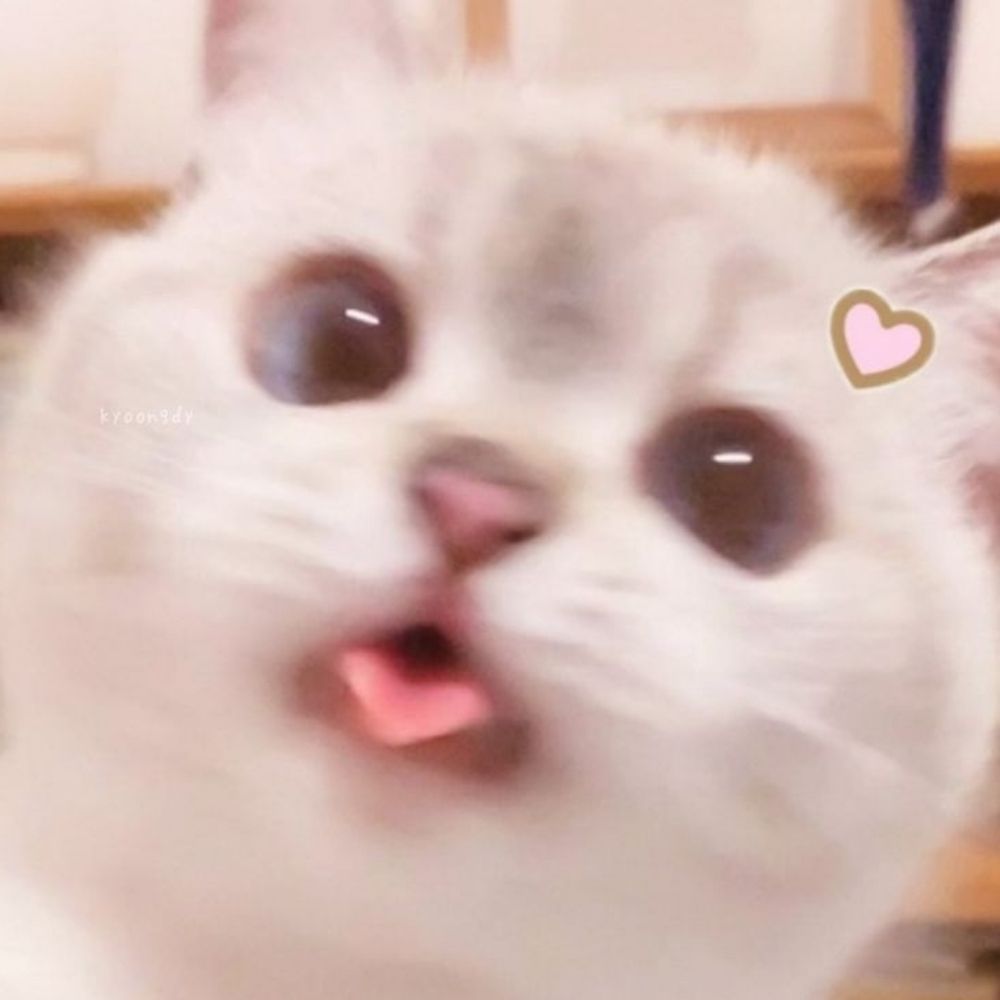김별냥🐾