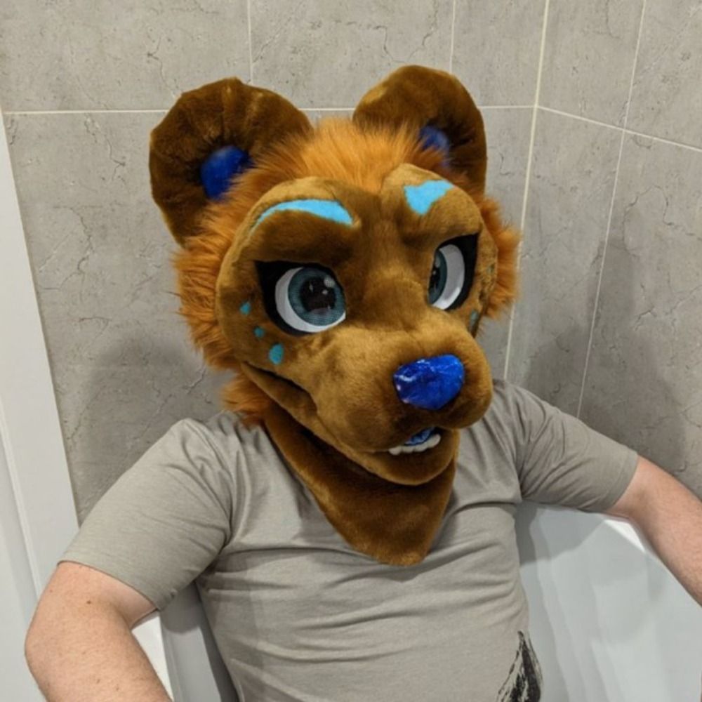 Tofu bear