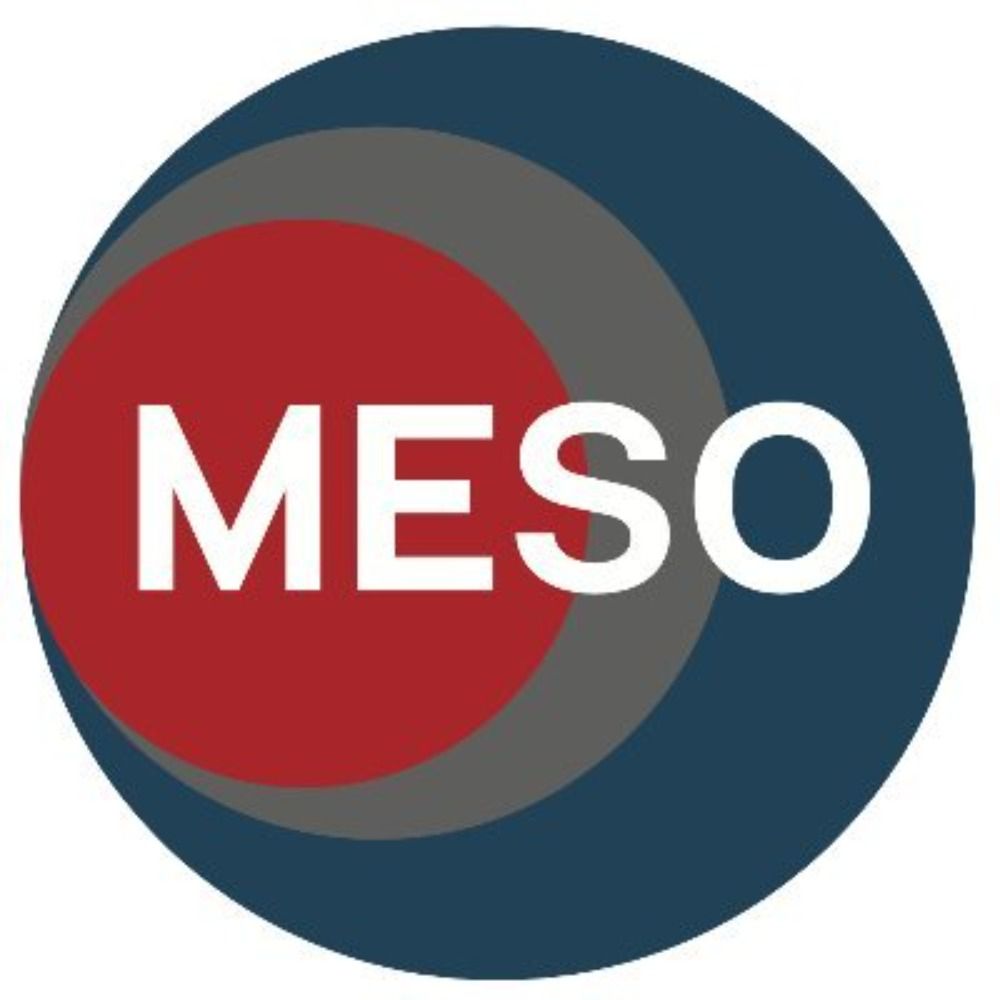 The MESO Lab