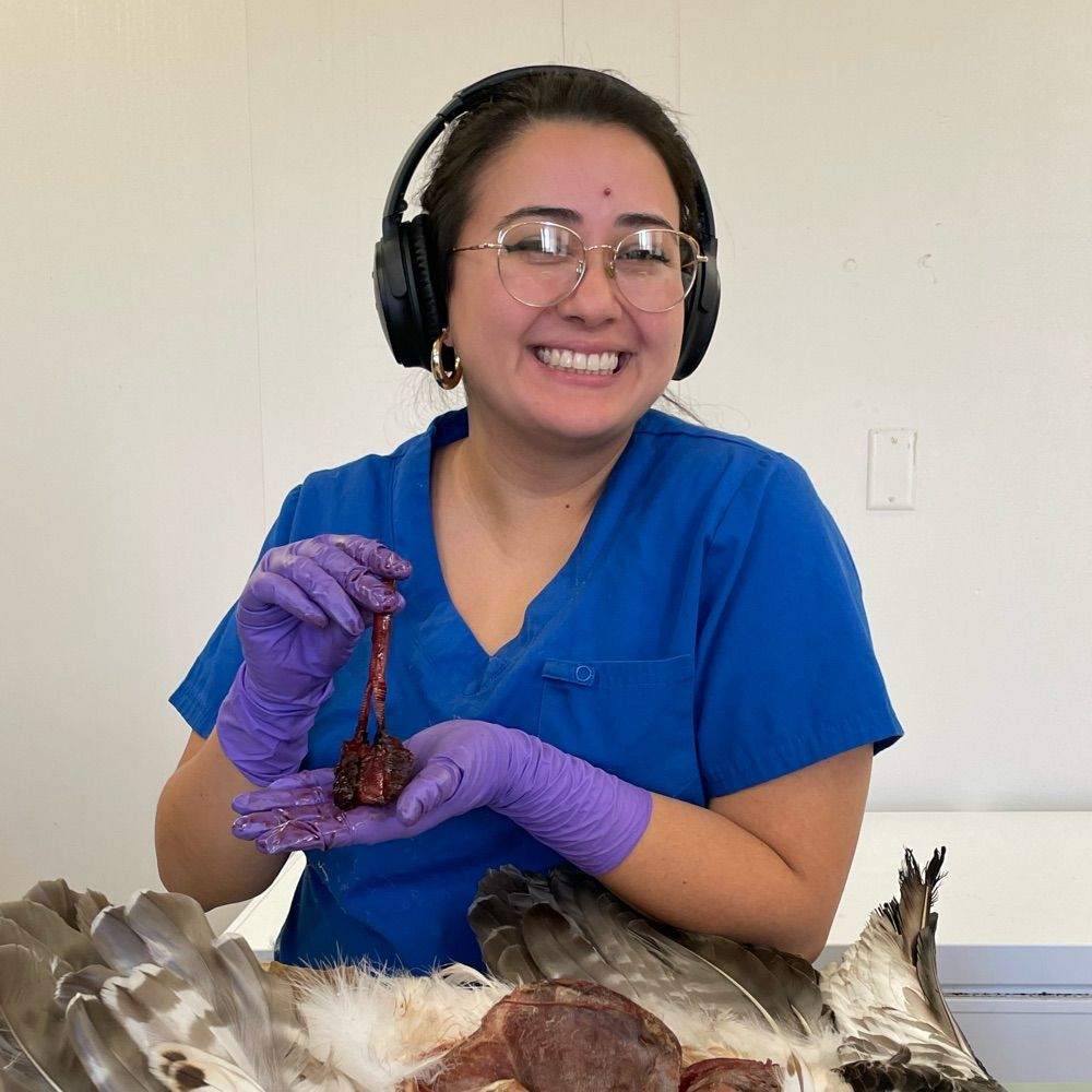 Aracely Martinez, Ph.D.