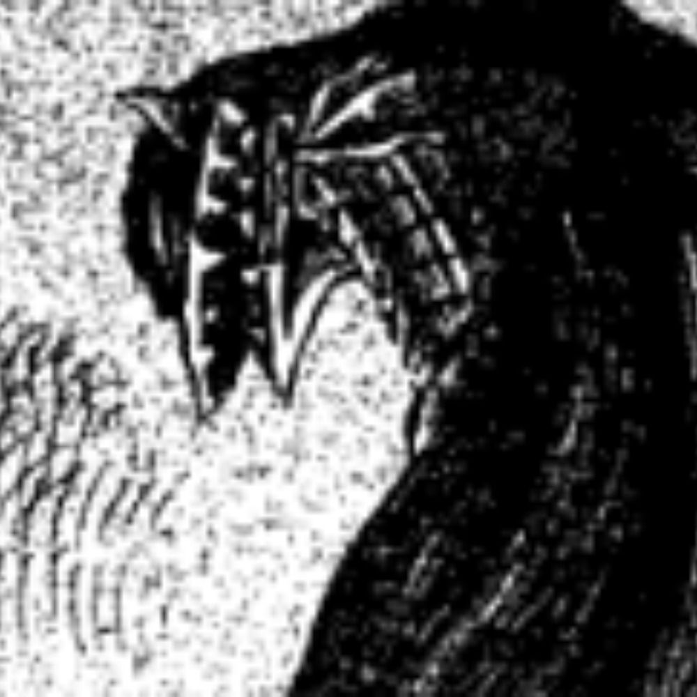 Fumi