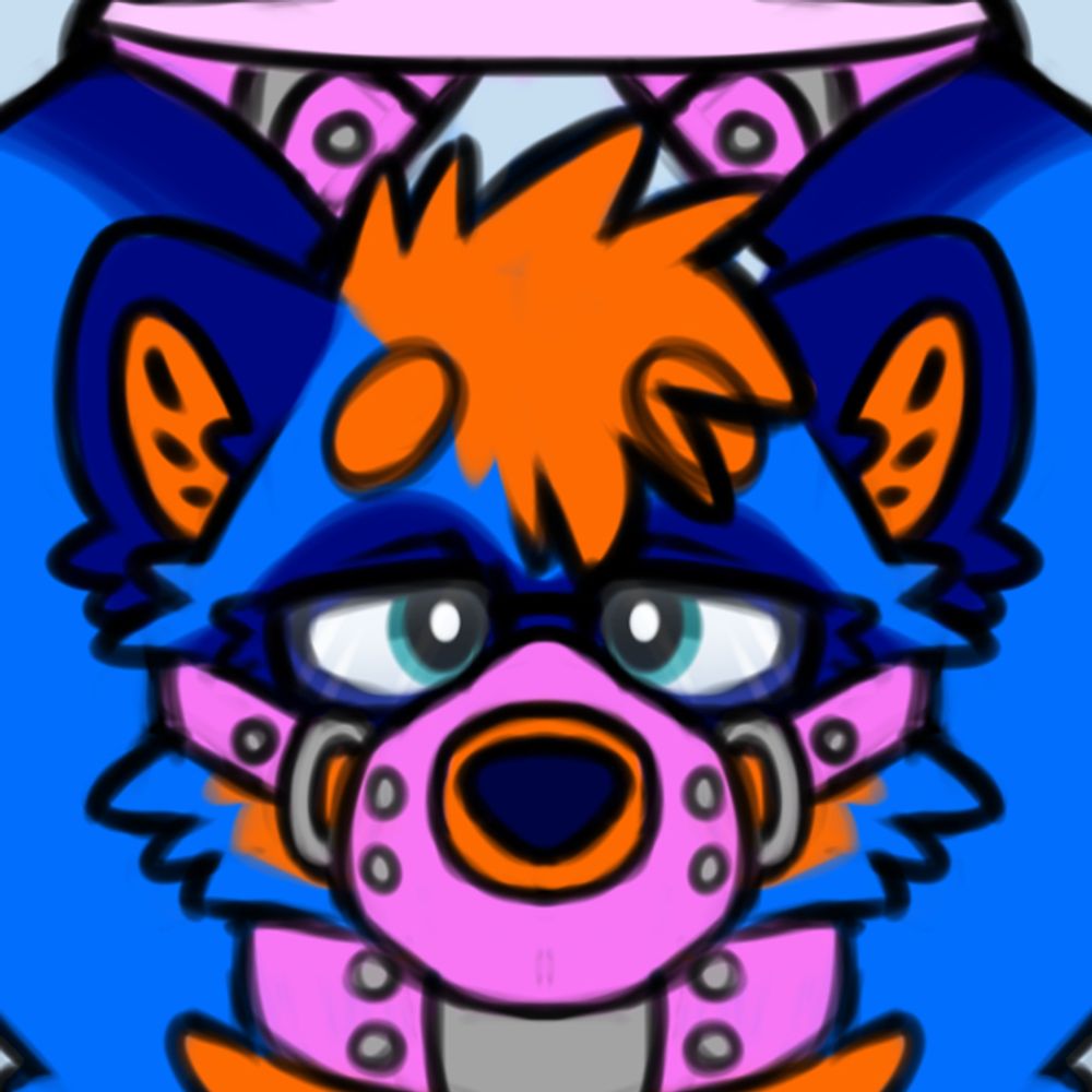 A Blushy Padded Raccoon
